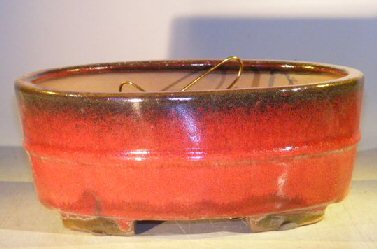 Parisian Red Ceramic Bonsai Pot - Oval Professional Series 10 x 8 x 4 Image
