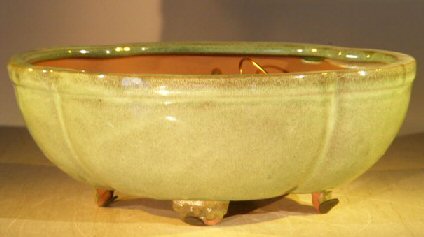 unknown Melon Green Ceramic Bonsai Pot - Oval<br>Professional Series<br><i>10 x 8 x 4</i>