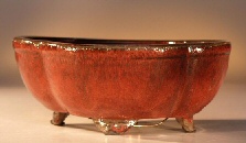 unknown Parsian Red Ceramic Bonsai Pot<br>Round Petal Shape<br><i>8.25 x 6.5 x 3.25</i>
