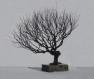 Image: Wire Bonsai Tree Sculpture - Natural Style