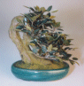 Artificial Bonsai
                                             Tree - up28 oval pot