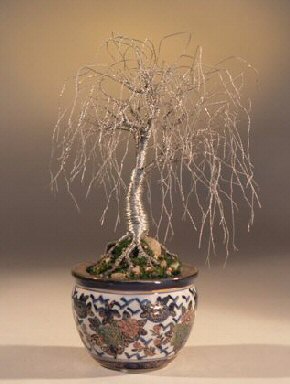 Ficus Bonsai Tree on Wire Tree Sculpture Bonsai   Bonsai Trees