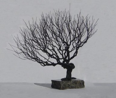 Bonsai Tree Seeds on Wire Bonsai Tree Sculpture   Natural Style