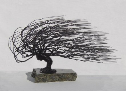 Wire Bonsai Tree Sculpture - Windswept  Style Image