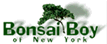 Bonsai trees and plants - great gift ideas!