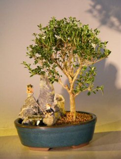 Flowering Mount Fuji Serissa Bonsai Tree   Stone Landscape Scene