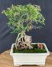 k1064-1