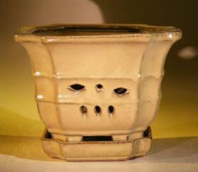 Mustard Color Orchid Pot with Attached Tray<br>7.0