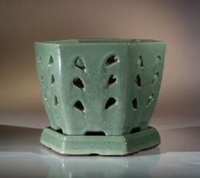 Ceramic Orchid Pot  <br>7.25