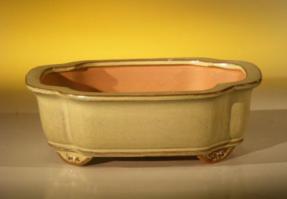 Beige Ceramic Bonsai Pot - Oval<br><i>8.0
