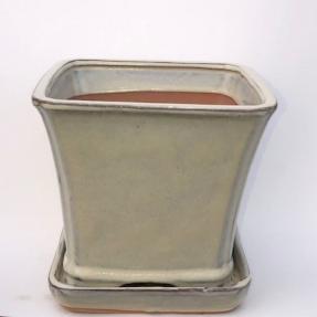 Beige Ceramic Bonsai Pot<br>Square With Attached Humidity / Drip Tray <br><i>7.5