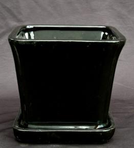 Black Ceramic Bonsai Pot<br>Square With Attached Humidity / Drip Tray <br><i>5.25