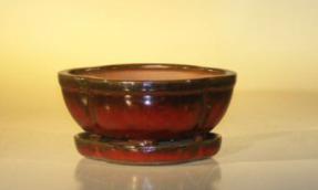 Parisian Red Ceramic Bonsai Pot- Oval <br>Attached Humidity/Drip Tray<br>Professional Series<br>6.37