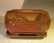 Parisian Red Ceramic Bonsai Pot - Rectangle <br>Professional Series with Attached Humidity/Drip tray <br><i>6.37