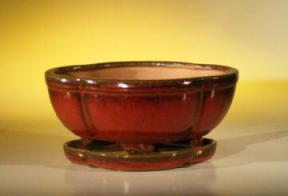 Parisian Red Ceramic Bonsai Pot - Oval <br>Professional Series with Attached Humidity/Drip tray <br><i>8.5