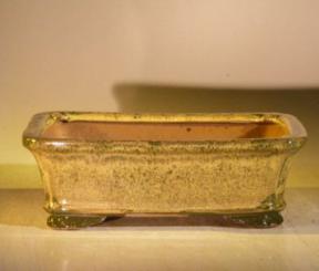 Woodlawn Green Ceramic Bonsai Pot - Rectangle<br><i>8