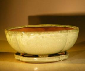 Green Apple Color Ceramic Bonsai Pot - Oval<br>Professional Series with Attached Humidity/Drip tray<br><i>10.75
