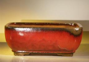 Parisian Red Ceramic Bonsai Pot - Rectangle <br>Professional Series <BR><i>12.0