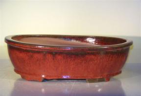 Parisian Red Ceramic Bonsai Pot - Oval<br><i>14.0