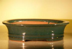 Green Ceramic Bonsai Pot - Oval <br><i>14.0
