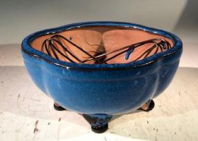 Blue Ceramic Bonsai Pot - Lotus Shaped <br>Professional Series <br><i>6