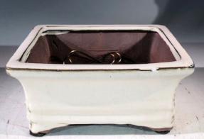 Beige Ceramic Bonsai Pot - Rectangle <br>Professional Series <br><i>6