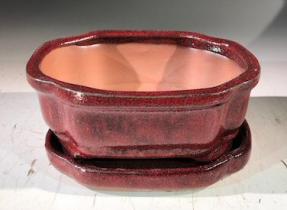 Parisian Red  Ceramic Bonsai Pot -Rectangle<br>With Humidity Drip Tray<br>6