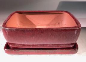 Parisian Red Ceramic Bonsai Pot - Rectangle<br>With Humidity Drip Tray<br>7