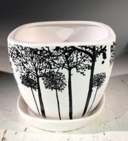 Tree Silhouette Bonsai Pot - Square<br>With Attached Humidity / Drip Tray<br>4.5