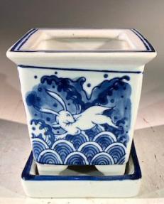 Blue on White Porcelain Bonsai Pot - Square <br>With Attached Humidity Drip Tray <br>4