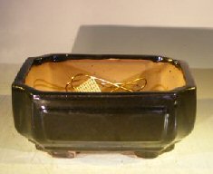 Black Ceramic Bonsai Pot - Rectangle<br>Professional Series<br>8.25