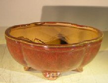 Parisian Red Ceramic Bonsai Pot  - Oval Lotus Shaped <br>Professional Series<br> 8.5