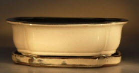 Ceramic Bonsai Pot <br>Glazed Oval - Beige<br>8.0