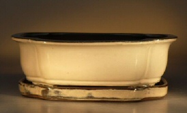 Ceramic Bonsai Pot <br>Glazed Oval - Beige<br>10.0