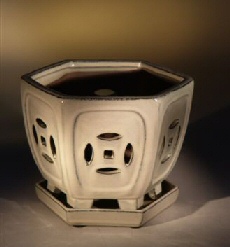 Ceramic  Bonsai Pot  (Orchid)<br>Glazed Hexagon -  Beige<br>8.5