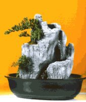 Bonsai Waterfall Garden