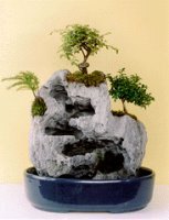 Bonsai Waterfall Garden