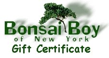 Gift Certificate - Personalized Tree Pictorial