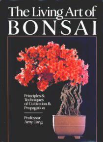 The Living Art of Bonsai<br>Professor Amy Liang