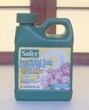 Safer Insecticidal Soap Concentrate