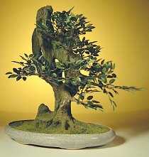 Chinese Elm Bonsai Tree<br>Artificial - Penjing Style<br>UP-14