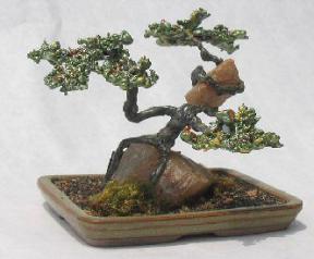 Root-over-rock Slanting Bonsai Stone<br>Holding Quartz Stone