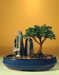 Tsukomo Cypress with Crane Bonsai Tree<br><i>(chamecyparis 