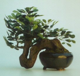 Artificial Bonsai Tree - up40 Round Bonsai Pot 