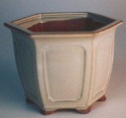 Imported Glazed Ceramic Bonsai Pot - Cream Hexagon Shape L - 5 1/2