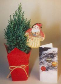 European Cedar Christmas Bonsai Tree
