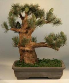 Artificial Needle Pine Bonsai Tree<br>15