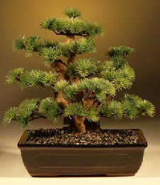 Artificial Pine Bonsai Tree