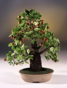 Artificial Crabapple Bonsai Tree<br>
