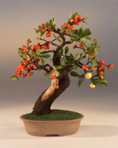 Artificial Flowering Quince Bonsai Tree<br>